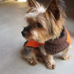 Meet your Posher, Tuan